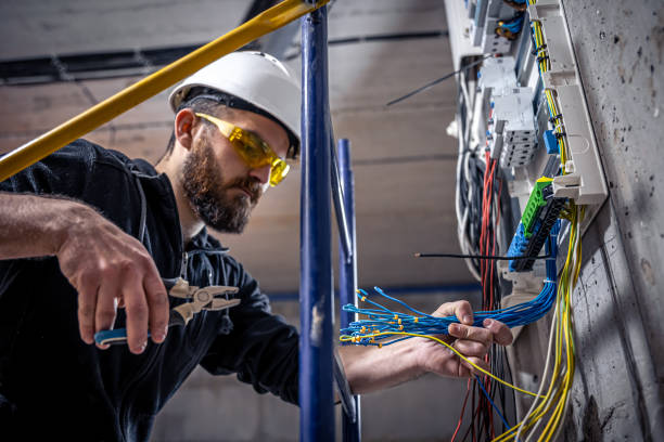 Best Ceiling Fan Installation Electrician  in Sneedville, TN